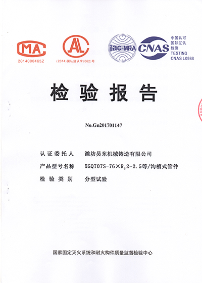 大小頭檢驗報告